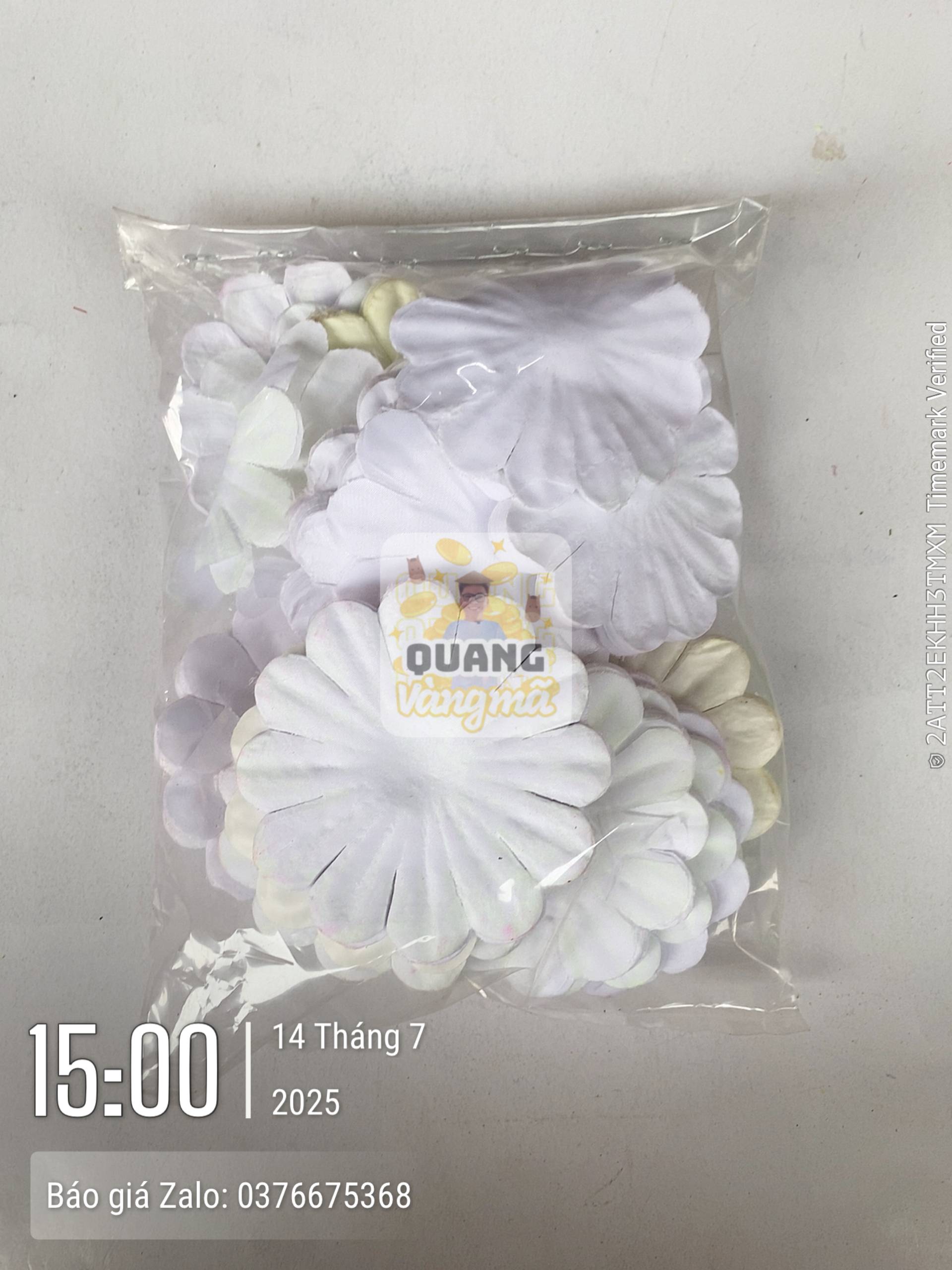 Phụ kiện 21